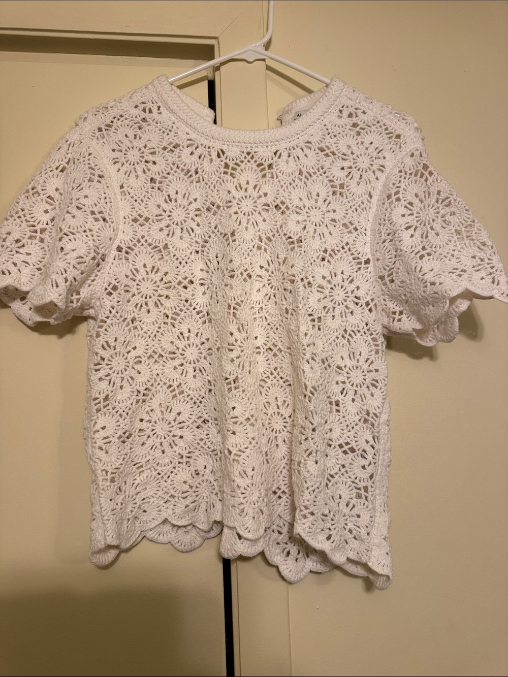 Abercrombie & Fitch White Crochet Floral Knit Top
